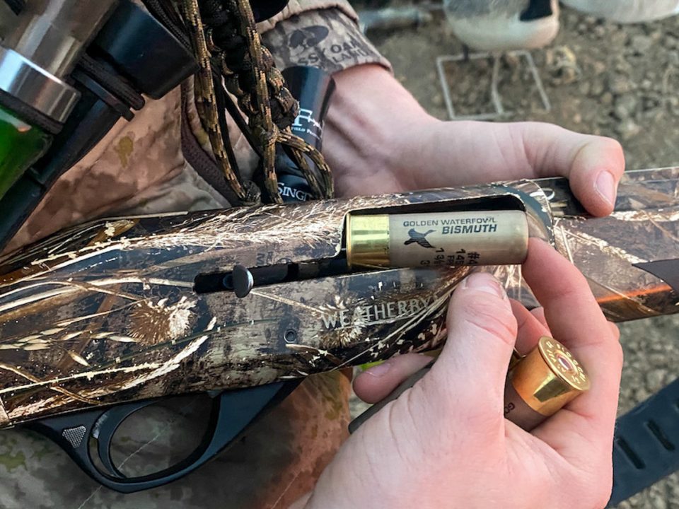 About Eco-Friendly Bismuth Shotgun Shells