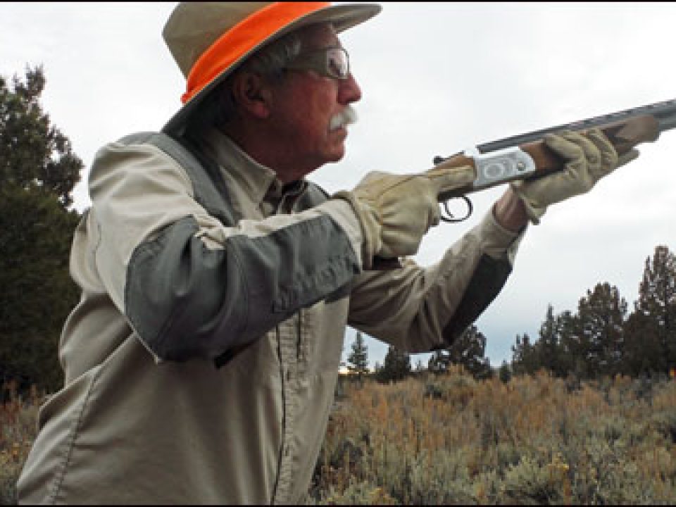 Understanding the Shotgun Ready Position