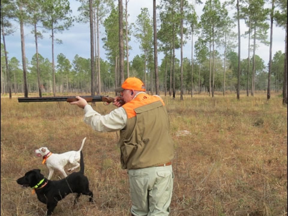 How to Swing a Shotgun