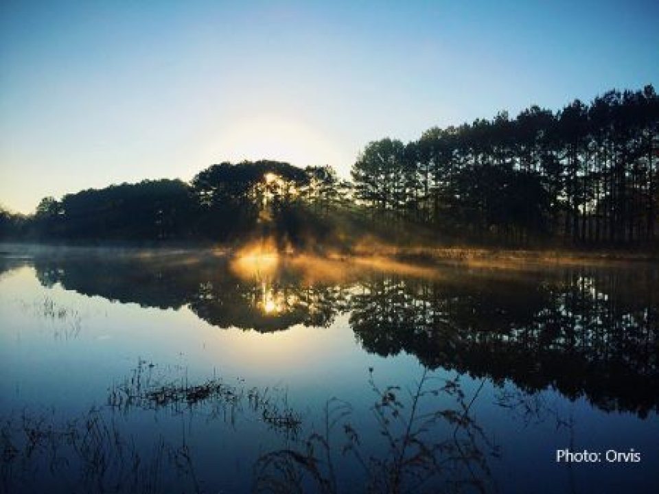 Back to Basics with the Orvis Wingshooting School at the Mays Pond Sporting Grounds