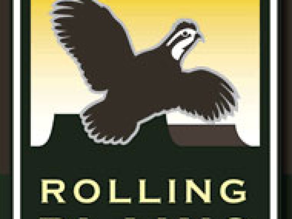 Quail Response to Large-Scale Wildfires in the Texas Panhandle