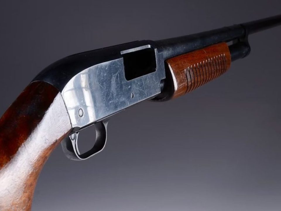 Looking Back at the Sears and Roebuck Shotguns
