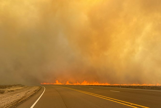 TX wildfires