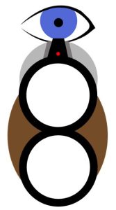 The Important Aspects of Shotgun Fit 2 fit 2