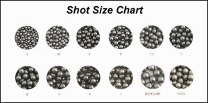 Unpacking the Pellet Count in 12-Gauge Shotgun Shells 1 pellets 1