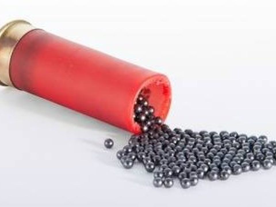 Weighing the Price and Performance of Tungsten Shotgun Shells