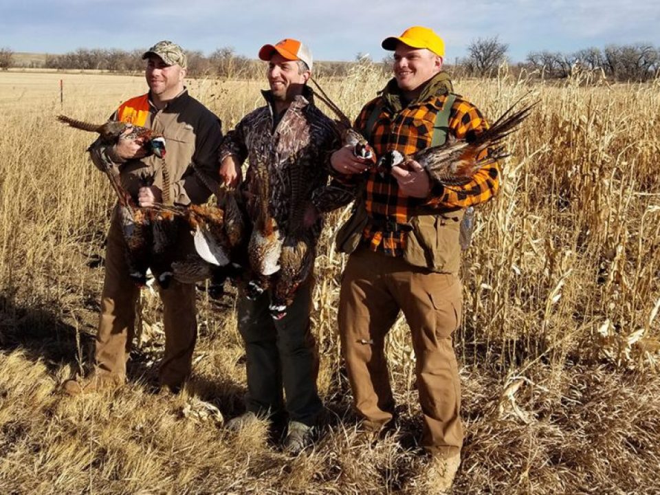 5 Tips for Finding the Best Upland Hunting Guide
