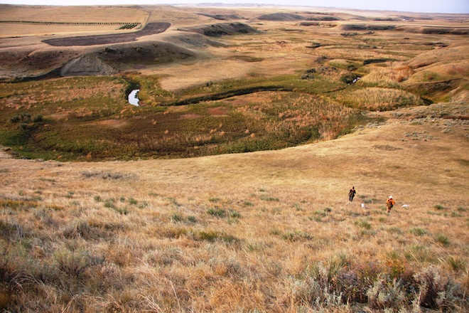 PF Montana RCPP blog