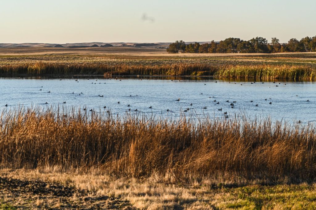 Ducks Unlimited, Bass Pro Partnership Allows Hunters and Anglers to Protect Waterfowl Habitat 1 DU Bass Pro