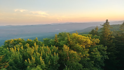 Ruffed Grouse Society/American Woodcock Society Receive Grant to Improve 28,600 Acres of Habitat in the Northeast 2 mountain 2