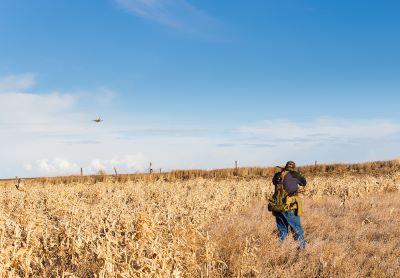 How One Man in the Field Figured Out How to Block for His Dogs 5 How One Man in the Field Figured Out How to Block for His Dogs