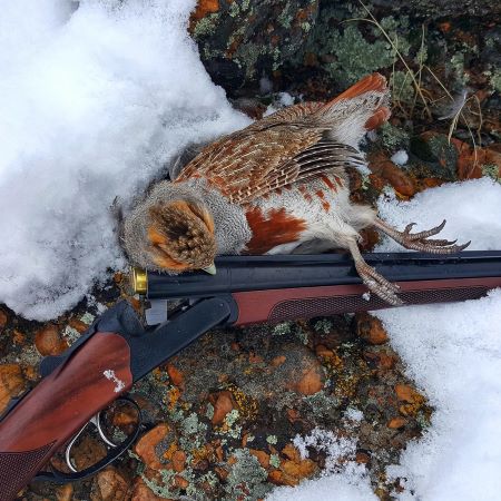 CZ Bobwhite 28 gauge with a Nevada Hungarian Partridge (Gray Partridge).