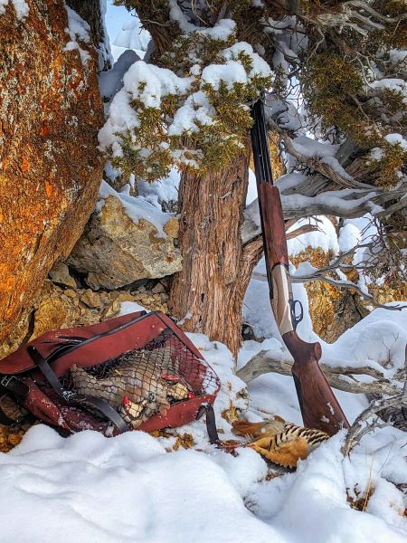 Benelli 828U 12 gauge with a full game bag of Nevada Chukar on a snowy day.