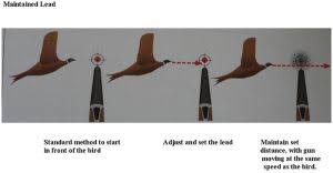 Can Blinking Fix Eye Dominance in Shotgun Shooting? 5 lead 1