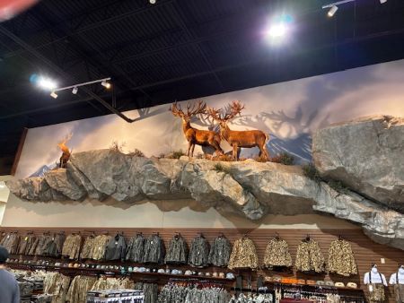 Some of the incredible hunting trophies on display at Mallards Shooting Supply & Apparel.