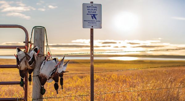 Delta Waterfowl Celebrates Introduction of the Great American Outdoors Act 250 1 250