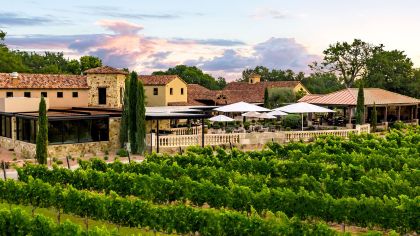 Grape Creek Vineyards.