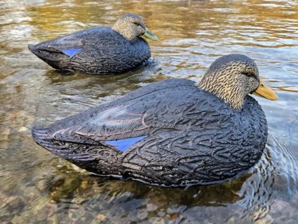 Hardcore Waterfowl’s Rugged Series Magnum Black Duck Decoy