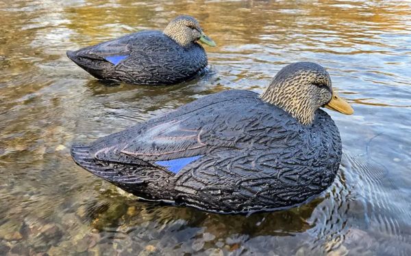 Hardcore Waterfowl's Rugged Series Magnum Black Duck Decoy 1 Hardcore