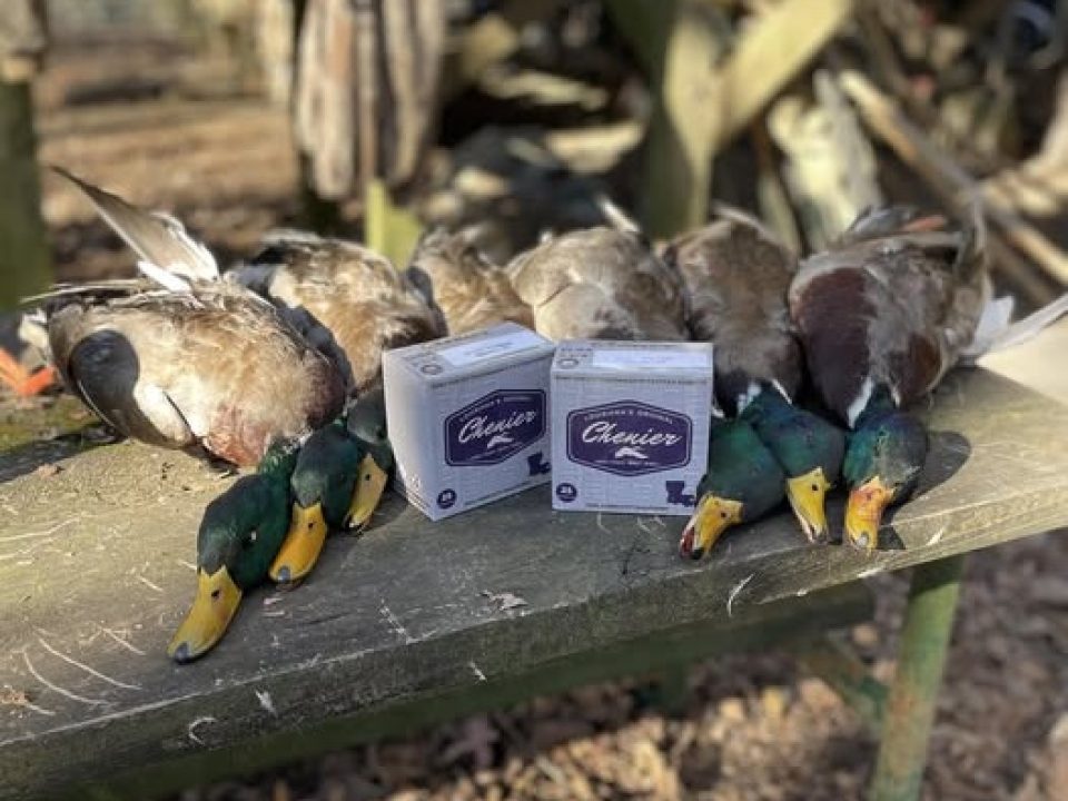 Chenier Shotshells: Louisiana Roots, Family Values and a Load Built for Ducks